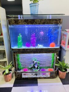 aquarium factory rwanda home and office 11