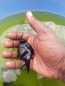aquarium factory rwanda home and office 15