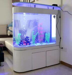aquarium factory rwanda home and office 18