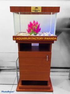 Aquarium with colorful coral and rocks setup.