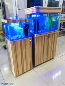 Aquarium display cabinets with vibrant blue lighting, showcasing aquatic plants and fish. Perfect fo.