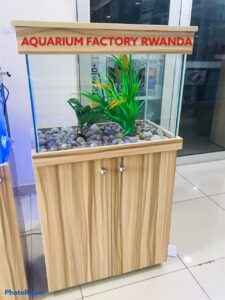 Aquarium display with plants and rocks at Rwanda store.