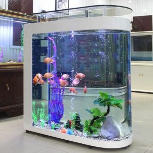 Fish tank with colorful fish, green aquatic plants, and decorative rocks.