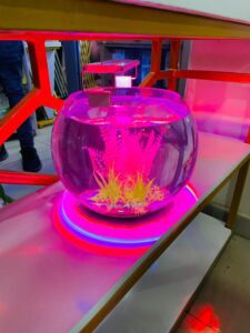 aquarium factory rwanda home and office 8