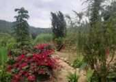 Maison avec vue imparable du lac Kivu a vendre a Gisenyi @ 50,000 USD / 50,000,000 Rwf, Rubavu, Rwanda