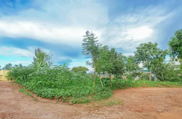 Prime-Land-Awaits-in-Kigalis-Bustling-Heart-Real-Estate-in-Rwanda-Land-For-Sale-in-Kigali-TOHOZA-1
