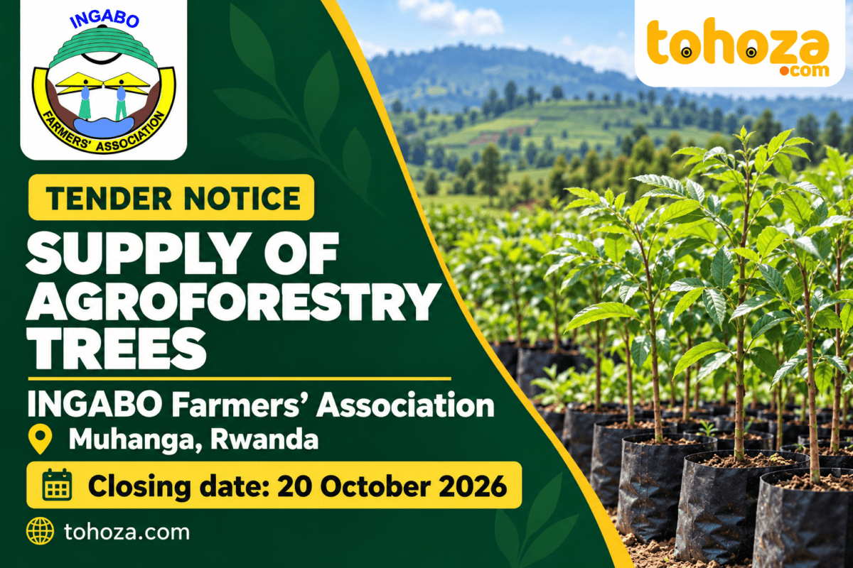 TENDER : Supply of Agroforestry Trees to INGABO Farmers’ Association, Muhanga, Rwanda – CLOSE : 20/10/2026