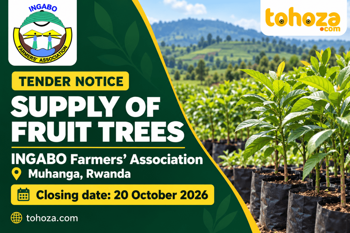 TENDER : Supply of Fruit Trees to INGABO Farmers’ Association, Muhanga, Rwanda – CLOSE: 20/10/2026